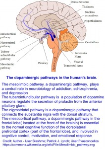 DoapmineRewardSystem
